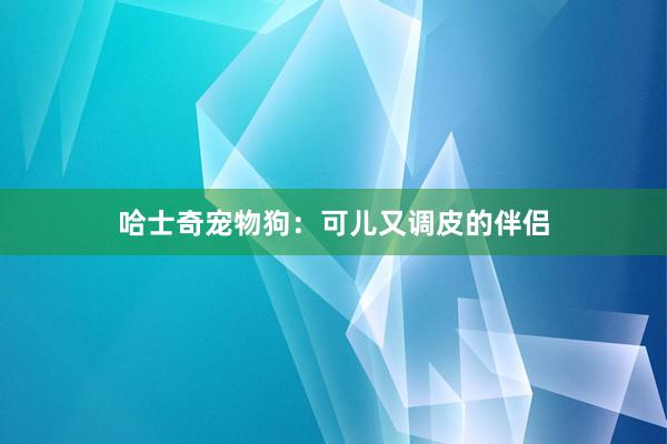 哈士奇宠物狗：可儿又调皮的伴侣